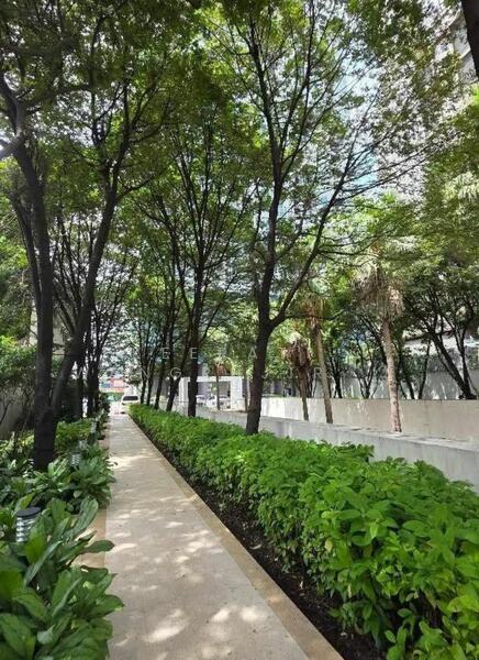 Rhythm Sukhumvit 50, Bangkok, 8 Sukhumvit 50, Sukhumvit Road, Phra Kanong, Khlong Toei, Bangkok, 2 Bedrooms, 65 sqm, Condo For Rent, by Keerati  Wangrujirakul, 500145041 - DDproperty.com