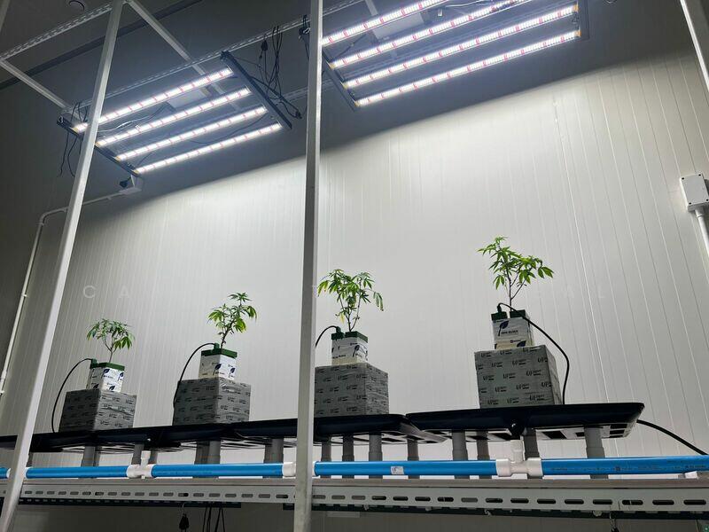 แหลมฉบัง, Chon Buri (Pattaya), Thung Suk La, Si Racha, Chon Buri (Pattaya), , 450 sqm, Warehouse/Factory For Sale, by Casa Pattaya Real Estate, 500145060 - DDproperty.com