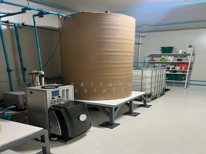 แหลมฉบัง, Chon Buri (Pattaya), Thung Suk La, Si Racha, Chon Buri (Pattaya), , 450 sqm, Warehouse/Factory For Sale, by Casa Pattaya Real Estate, 500145060 - DDproperty.com