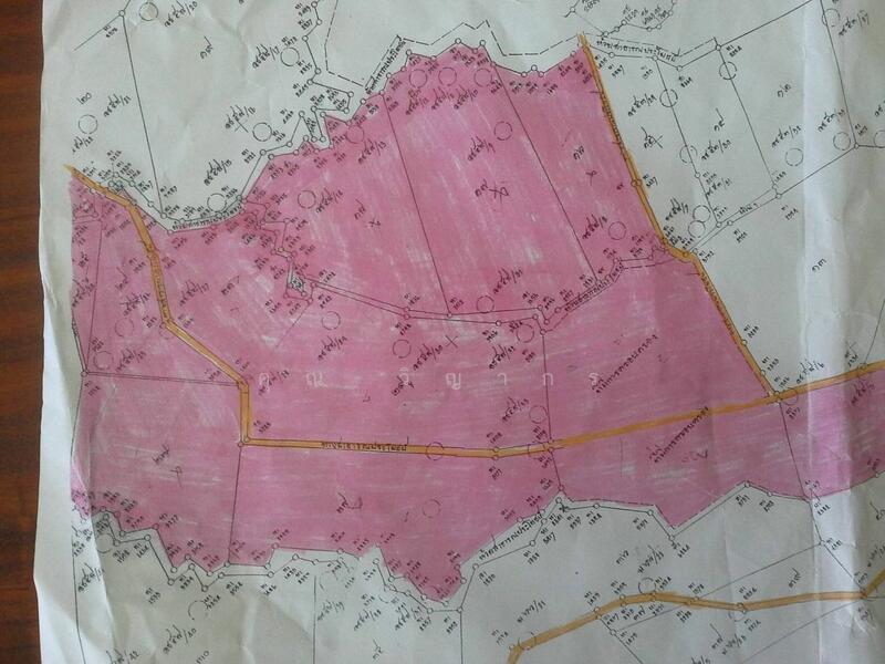 ขายที่ดิน สวนปาล์มน้ำมัน แปลงใหญ่เพื่อการลงทุน จังหวัดชุมพร – เจ้าของขายเอง, Chumphon, Kao Chai Rat, Pathiu, Chumphon, , 470,216 sqm, Land For Sale, by คุณ วิญากร, 500145232 - DDproperty.com