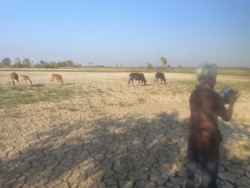 ที่ดิน อยู่ชะอำ เพชรบุรี 10 ไร่, เพชรบุรี, นายาง, ชะอำ, เพชรบุรี, 15,984 ตร.ม., ที่ดิน ขาย, โดย kewalin ., 500145321 - DDproperty.com