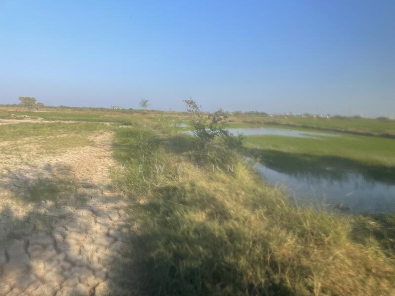 Land for Sale in Cha-am, Phetchaburi – Mountain View & Seaside Area, Phetchaburi, Na Yang, Cha-Am, Phetchaburi, , 15,984 sqm, Land For Sale, by kewalin ., 500145321 - DDproperty.com