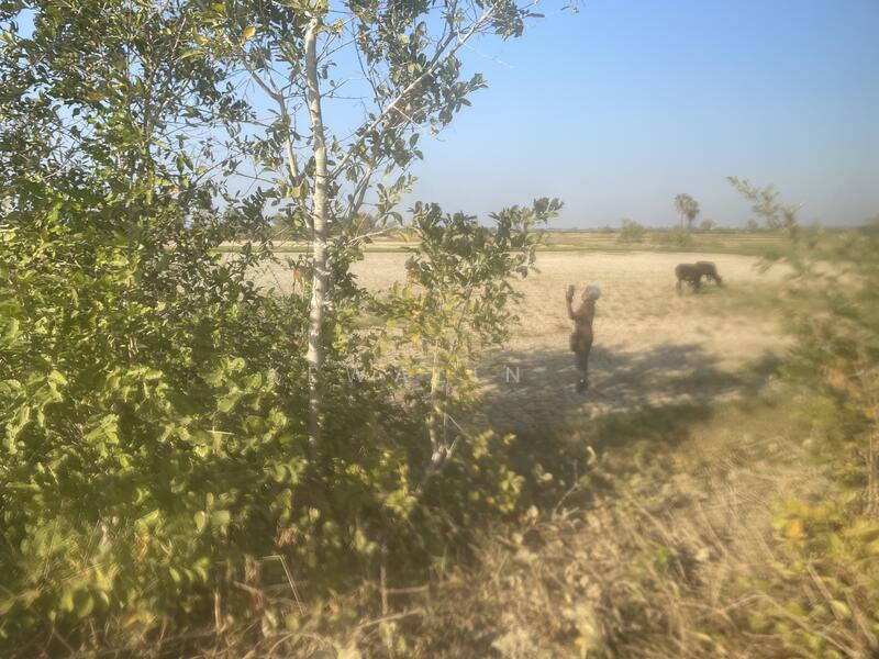 Land for Sale in Cha-am, Phetchaburi – Mountain View & Seaside Area, Phetchaburi, Na Yang, Cha-Am, Phetchaburi, , 15,984 sqm, Land For Sale, by kewalin ., 500145321 - DDproperty.com