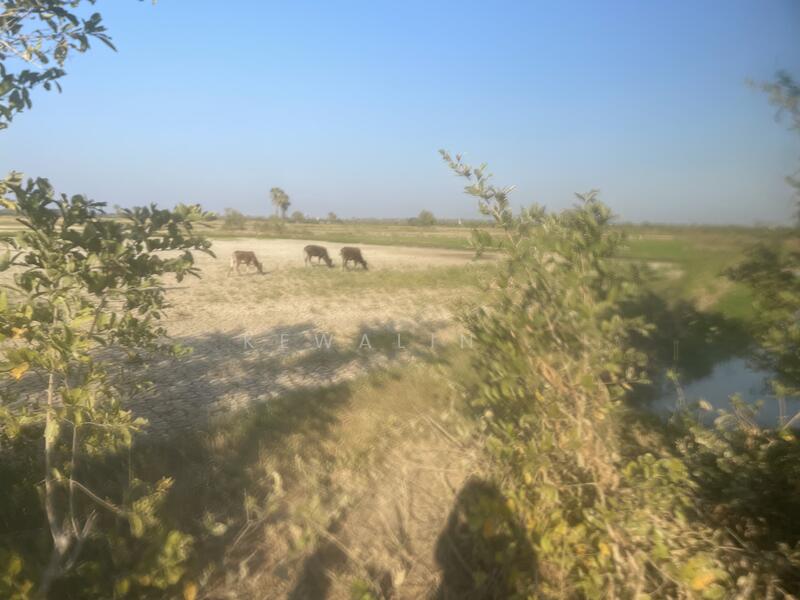 Land for Sale in Cha-am, Phetchaburi – Mountain View & Seaside Area, Phetchaburi, Na Yang, Cha-Am, Phetchaburi, , 15,984 sqm, Land For Sale, by kewalin ., 500145321 - DDproperty.com