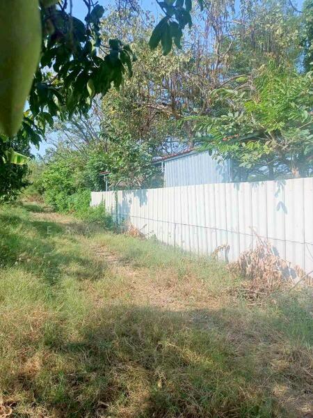 ขายที่ดินเปล่า 3 ไร่ 18 ตรว เดินทางไปสนามบินสุวรรณภูมิที่สะดวกและรวดเร็ว, สมุทรปราการ, ศีรษะจรเข้น้อย, บางเสาธง, สมุทรปราการ, 4,872 ตร.ม., ที่ดิน ขาย, โดย ERA Thailand, 500145336 - DDproperty.com