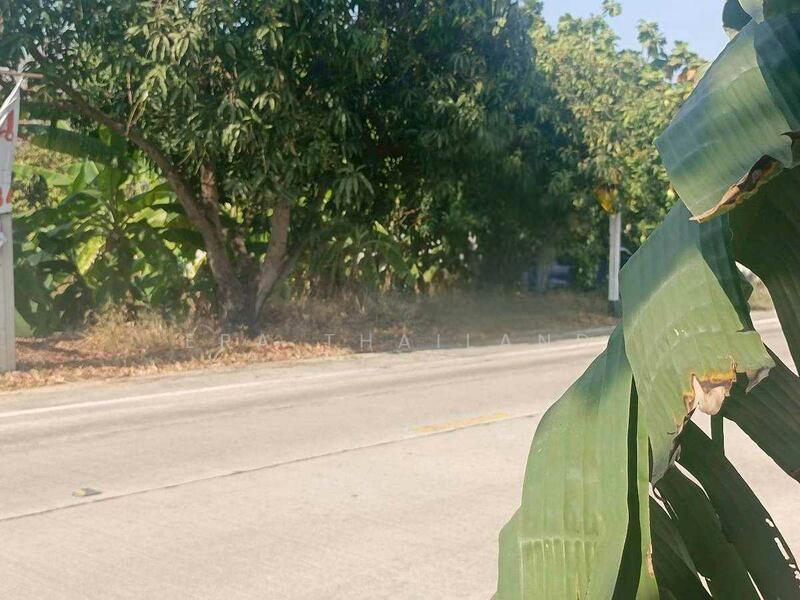 ขายที่ดินเปล่า 3 ไร่ 18 ตรว เดินทางไปสนามบินสุวรรณภูมิที่สะดวกและรวดเร็ว, สมุทรปราการ, ศีรษะจรเข้น้อย, บางเสาธง, สมุทรปราการ, 4,872 ตร.ม., ที่ดิน ขาย, โดย ERA Thailand, 500145336 - DDproperty.com