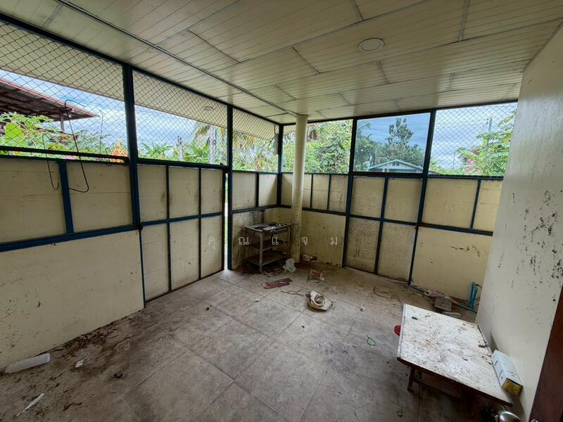 นอกโครงการสุรินทร์, Surin, Kra Tiam, Sangkha, Surin, 4 Bedrooms, 301 sqm, Single Detached House For Sale, by คุณแจม, 500145369 - DDproperty.com