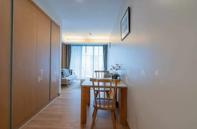 ขาย - Siamese Gioia : ไซมิส จอยญ่า, กรุงเทพ