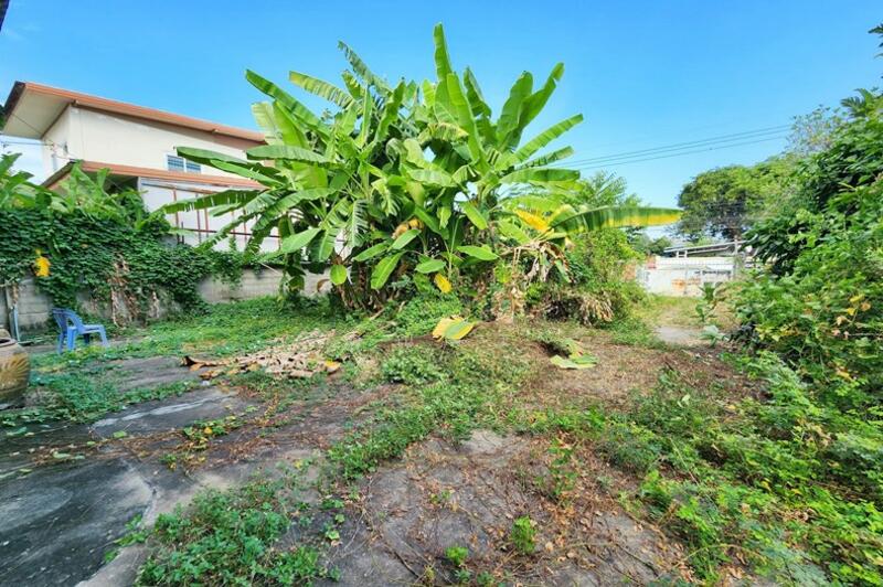 ขายที่ดินพร้อมบ้าน 148 ตร.วา พหลโยธิน 62 ใกล้ BTS แยก คปอ. สนามบินดอนเมือง, Pathum Thani, พหลโยธิน, Khu Khot, Lam Luk Ka, Pathum Thani, , 592 sqm, Land For Sale, by คุณมิว, 500145408 - DDproperty.com