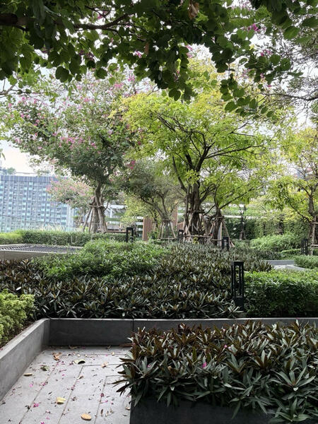 The Line Phahonyothin Park, Bangkok, 1090 Phahonyothin Road, Jom Phon, Chatuchak, Bangkok, 1 Bedroom, 33 sqm, Condo For Rent, by Tayfun  Suebsarakham , 500145419 - DDproperty.com