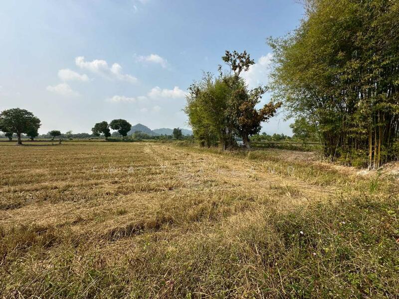 ขายที่ดิน เนื้อที่ 13 ไร่ 2 งาน 31.5 ตร.ว. ใกล้ถนนทางหลวง นครนายก-นางรอง, Nakhon Nayok, Sarika, Muang Nakhon Nayok, Nakhon Nayok, , 21,724 sqm, Land For Sale, by ERA Thailand, 500145445 - DDproperty.com