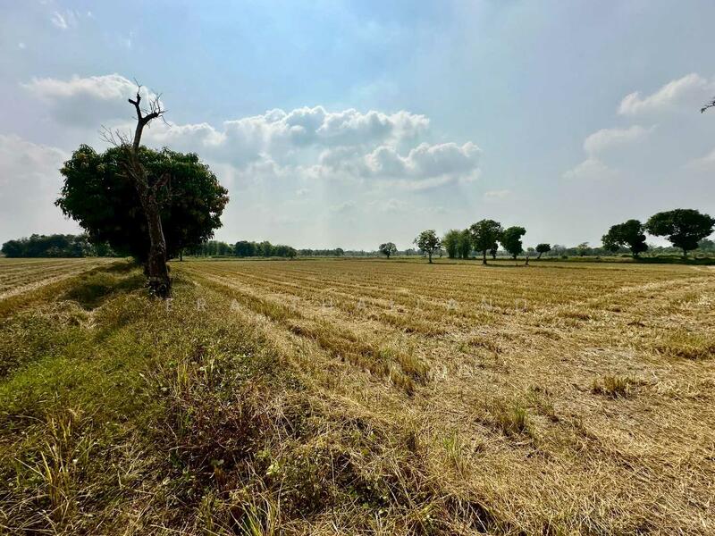 ขายที่ดิน เนื้อที่ 13 ไร่ 2 งาน 31.5 ตร.ว. ใกล้ถนนทางหลวง นครนายก-นางรอง, Nakhon Nayok, Sarika, Muang Nakhon Nayok, Nakhon Nayok, , 21,724 sqm, Land For Sale, by ERA Thailand, 500145445 - DDproperty.com