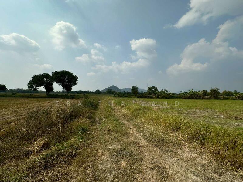 ขายที่ดิน เนื้อที่ 13 ไร่ 2 งาน 31.5 ตร.ว. ใกล้ถนนทางหลวง นครนายก-นางรอง, Nakhon Nayok, Sarika, Muang Nakhon Nayok, Nakhon Nayok, , 21,724 sqm, Land For Sale, by ERA Thailand, 500145445 - DDproperty.com