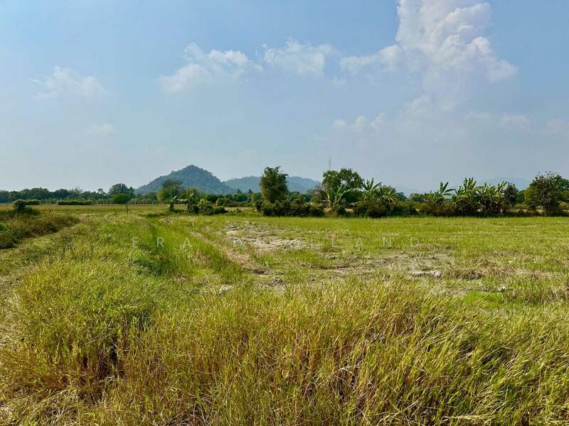 ขายที่ดิน เนื้อที่ 13 ไร่ 2 งาน 31.5 ตร.ว. ใกล้ถนนทางหลวง นครนายก-นางรอง, Nakhon Nayok, Sarika, Muang Nakhon Nayok, Nakhon Nayok, , 21,724 sqm, Land For Sale, by ERA Thailand, 500145445 - DDproperty.com