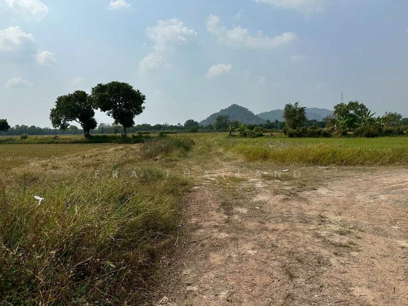 ขายที่ดิน เนื้อที่ 13 ไร่ 2 งาน 31.5 ตร.ว. ใกล้ถนนทางหลวง นครนายก-นางรอง, Nakhon Nayok, Sarika, Muang Nakhon Nayok, Nakhon Nayok, , 21,724 sqm, Land For Sale, by ERA Thailand, 500145445 - DDproperty.com