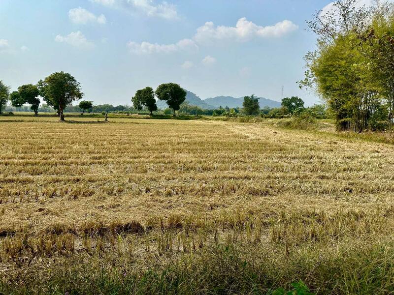 ขายที่ดิน เนื้อที่ 13 ไร่ 2 งาน 31.5 ตร.ว. ใกล้ถนนทางหลวง นครนายก-นางรอง, Nakhon Nayok, Sarika, Muang Nakhon Nayok, Nakhon Nayok, , 21,724 sqm, Land For Sale, by ERA Thailand, 500145445 - DDproperty.com