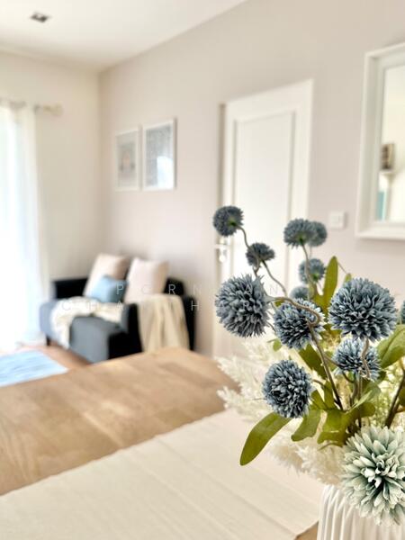 The Seed Memories Siam, Bangkok, 60 Kasem San 2 Alley, Wang Mai, Pathum Wan, Bangkok, 1 Bedroom, 38 sqm, Condo For Sale, by Pornpan Chantharakasemchai, 500145480 - DDproperty.com