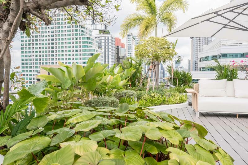 Supalai Premier Place Asoke : ศุภาลัย พรีเมียร์ เพลส อโศก, กรุงเทพ, 60 ถนนอโศกมนตรี, คลองเตยเหนือ, วัฒนา, กรุงเทพ, 200 ตร.ม., คอนโด ขาย, โดย The Luxe Group, 500145617 - DDproperty.com