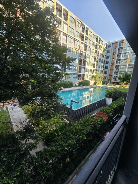 IKON Sukhumvit 77, Bangkok, 182 Sukhumvit Road 77, Suan Luang, Suan Luang, Bangkok, 1 Bedroom, 29 sqm, Condo For Sale, by Connex Property, 500145619 - DDproperty.com