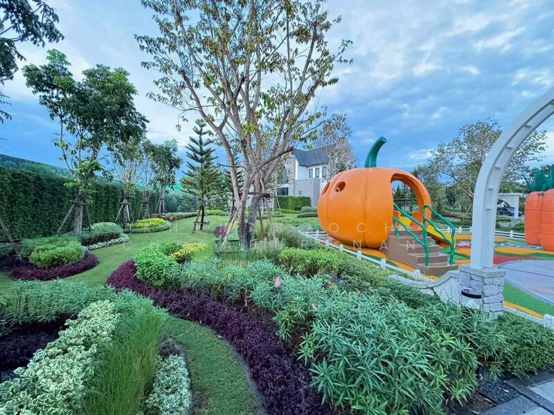 สราญสิริ จตุโชติ, กรุงเทพ, ออเงิน, สายไหม, กรุงเทพ, 332 ตร.ม., บ้านเดี่ยว ให้เช่า, โดย Khemasooch Chiraburanan, 500145623 - DDproperty.com