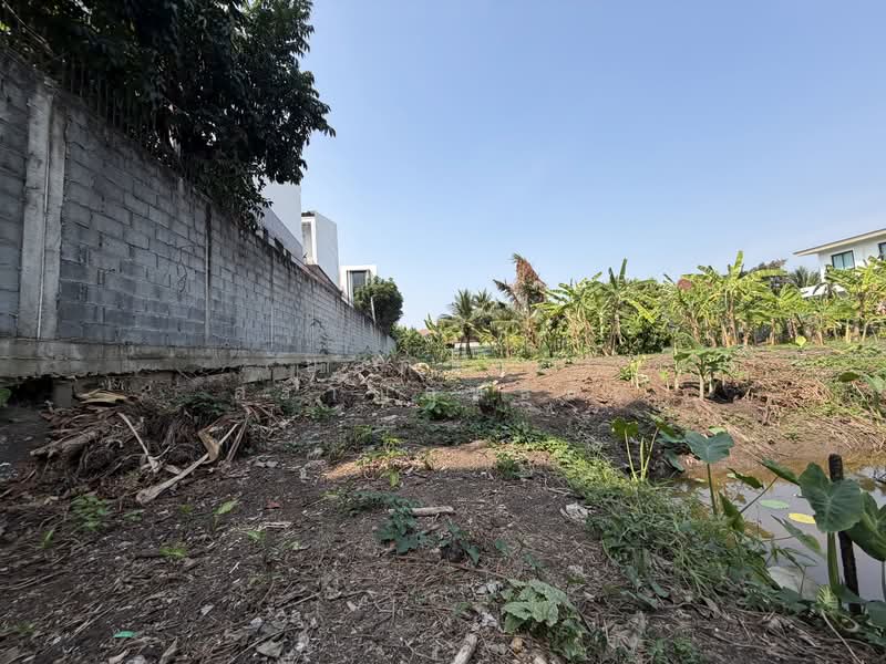 Land, Nonthaburi, ซอยกรุงเทพนนท์ 2 แยก 3, Bang Khen, Muang Nonthaburi, Nonthaburi, , 2,216 sqm, Land For Sale, by ยอดชาย สราญฤทธิชัย, 500145632 - DDproperty.com