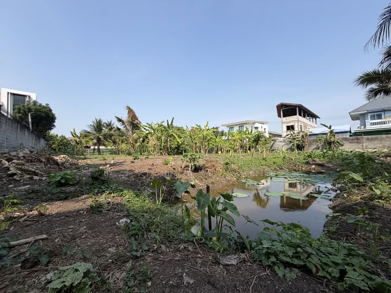 Land, Nonthaburi, ซอยกรุงเทพนนท์ 2 แยก 3, Bang Khen, Muang Nonthaburi, Nonthaburi, , 2,216 sqm, Land For Sale, by ยอดชาย สราญฤทธิชัย, 500145632 - DDproperty.com