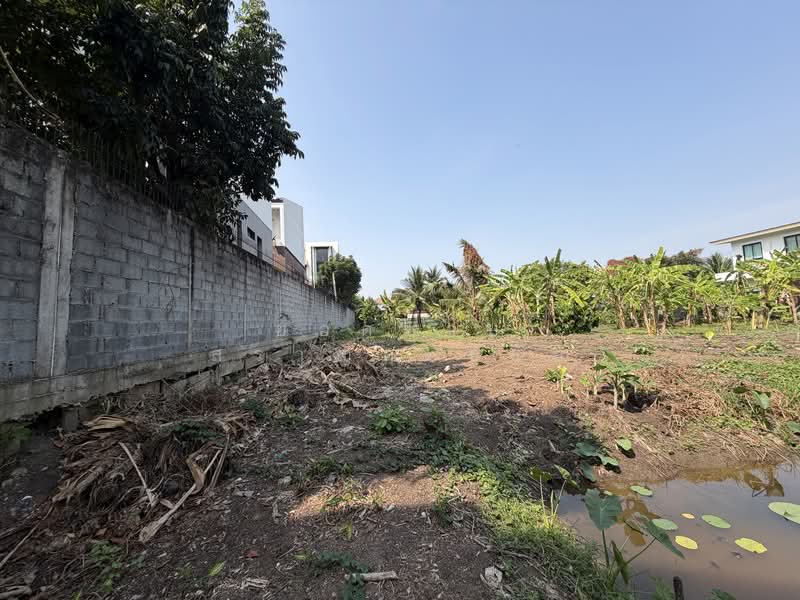Land, Nonthaburi, ซอยกรุงเทพนนท์ 2 แยก 3, Bang Khen, Muang Nonthaburi, Nonthaburi, , 2,216 sqm, Land For Sale, by ยอดชาย สราญฤทธิชัย, 500145632 - DDproperty.com