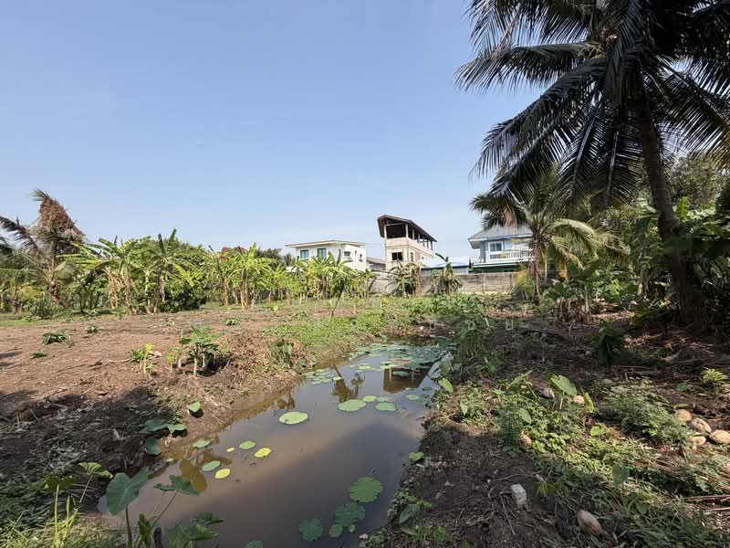 Land, Nonthaburi, ซอยกรุงเทพนนท์ 2 แยก 3, Bang Khen, Muang Nonthaburi, Nonthaburi, , 2,216 sqm, Land For Sale, by ยอดชาย สราญฤทธิชัย, 500145632 - DDproperty.com