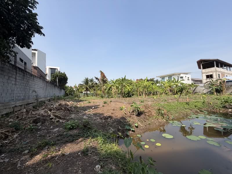 ที่ดิน 1-1-54 ไร่ ซ.กรุงเทพนนท์ 2 แยก 3, นนทบุรี, ซอยกรุงเทพนนท์ 2 แยก 3, บางเขน, เมืองนนทบุรี, นนทบุรี, 2,216 ตร.ม., ที่ดิน ขาย, โดย ยอดชาย สราญฤทธิชัย, 500145632 - DDproperty.com