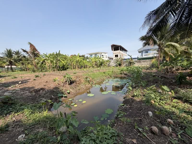 Land, Nonthaburi, ซอยกรุงเทพนนท์ 2 แยก 3, Bang Khen, Muang Nonthaburi, Nonthaburi, , 2,216 sqm, Land For Sale, by ยอดชาย สราญฤทธิชัย, 500145632 - DDproperty.com