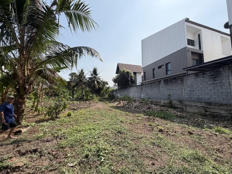 ที่ดิน 1-1-54 ไร่ ซ.กรุงเทพนนท์ 2 แยก 3, นนทบุรี, ซอยกรุงเทพนนท์ 2 แยก 3, บางเขน, เมืองนนทบุรี, นนทบุรี, 2,216 ตร.ม., ที่ดิน ขาย, โดย ยอดชาย สราญฤทธิชัย, 500145632 - DDproperty.com