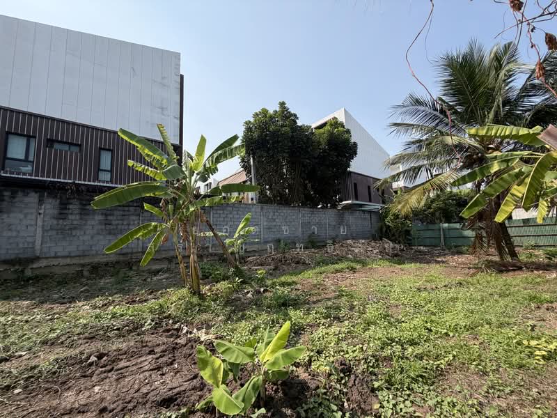 ที่ดิน 1-1-54 ไร่ ซ.กรุงเทพนนท์ 2 แยก 3, นนทบุรี, ซอยกรุงเทพนนท์ 2 แยก 3, บางเขน, เมืองนนทบุรี, นนทบุรี, 2,216 ตร.ม., ที่ดิน ขาย, โดย ยอดชาย สราญฤทธิชัย, 500145632 - DDproperty.com