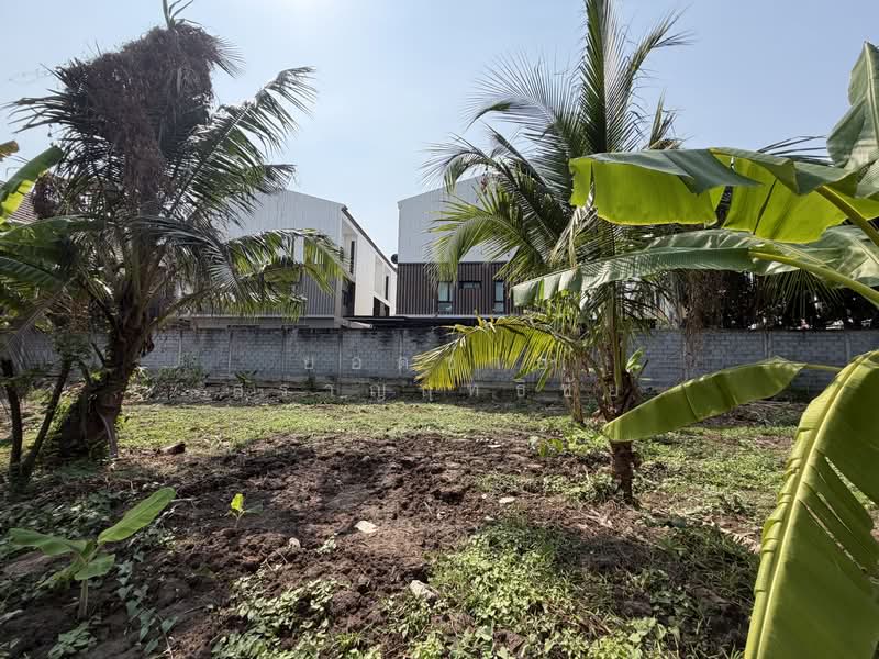 Land, Nonthaburi, ซอยกรุงเทพนนท์ 2 แยก 3, Bang Khen, Muang Nonthaburi, Nonthaburi, , 2,216 sqm, Land For Sale, by ยอดชาย สราญฤทธิชัย, 500145632 - DDproperty.com