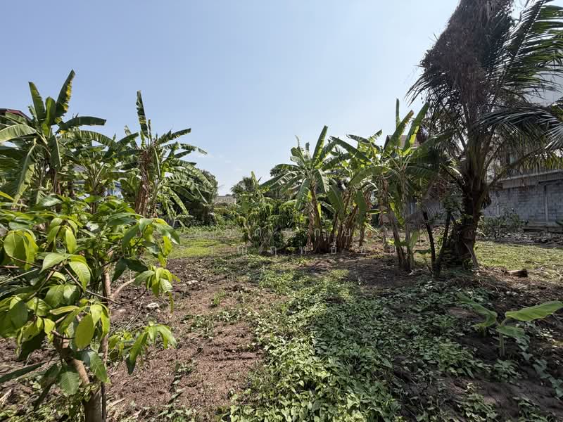 Land, Nonthaburi, ซอยกรุงเทพนนท์ 2 แยก 3, Bang Khen, Muang Nonthaburi, Nonthaburi, , 2,216 sqm, Land For Sale, by ยอดชาย สราญฤทธิชัย, 500145632 - DDproperty.com