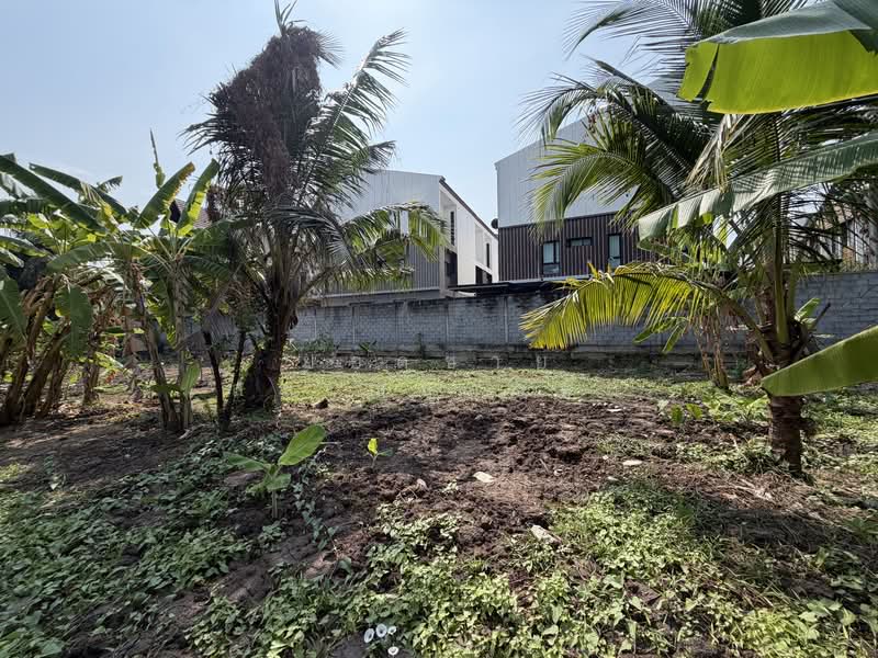 Land, Nonthaburi, ซอยกรุงเทพนนท์ 2 แยก 3, Bang Khen, Muang Nonthaburi, Nonthaburi, , 2,216 sqm, Land For Sale, by ยอดชาย สราญฤทธิชัย, 500145632 - DDproperty.com