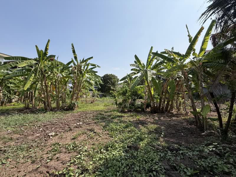 Land, Nonthaburi, ซอยกรุงเทพนนท์ 2 แยก 3, Bang Khen, Muang Nonthaburi, Nonthaburi, , 2,216 sqm, Land For Sale, by ยอดชาย สราญฤทธิชัย, 500145632 - DDproperty.com