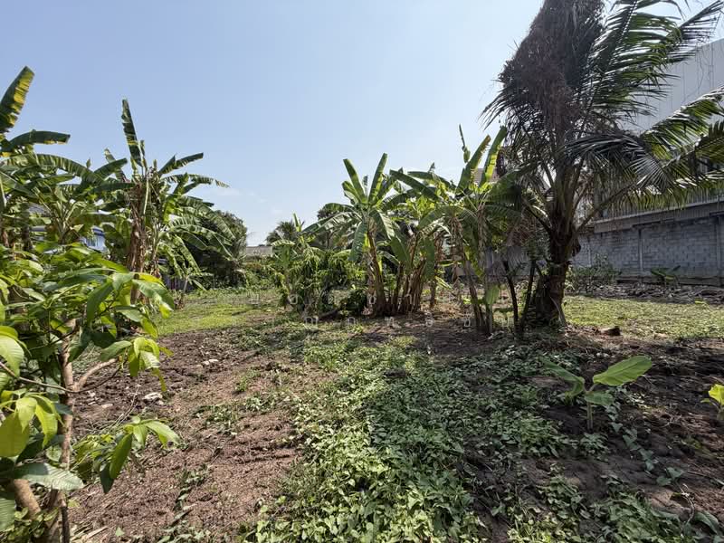 Land, Nonthaburi, ซอยกรุงเทพนนท์ 2 แยก 3, Bang Khen, Muang Nonthaburi, Nonthaburi, , 2,216 sqm, Land For Sale, by ยอดชาย สราญฤทธิชัย, 500145632 - DDproperty.com