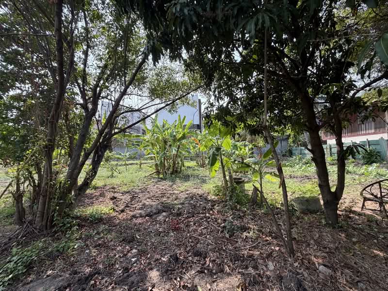 Land, Nonthaburi, ซอยกรุงเทพนนท์ 2 แยก 3, Bang Khen, Muang Nonthaburi, Nonthaburi, , 2,216 sqm, Land For Sale, by ยอดชาย สราญฤทธิชัย, 500145632 - DDproperty.com