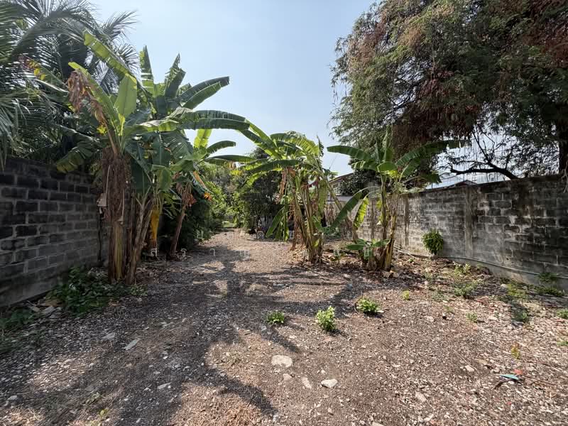 Land, Nonthaburi, ซอยกรุงเทพนนท์ 2 แยก 3, Bang Khen, Muang Nonthaburi, Nonthaburi, , 2,216 sqm, Land For Sale, by ยอดชาย สราญฤทธิชัย, 500145632 - DDproperty.com