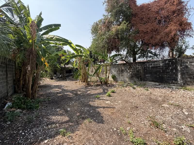 ที่ดิน 1-1-54 ไร่ ซ.กรุงเทพนนท์ 2 แยก 3, นนทบุรี, ซอยกรุงเทพนนท์ 2 แยก 3, บางเขน, เมืองนนทบุรี, นนทบุรี, 2,216 ตร.ม., ที่ดิน ขาย, โดย ยอดชาย สราญฤทธิชัย, 500145632 - DDproperty.com