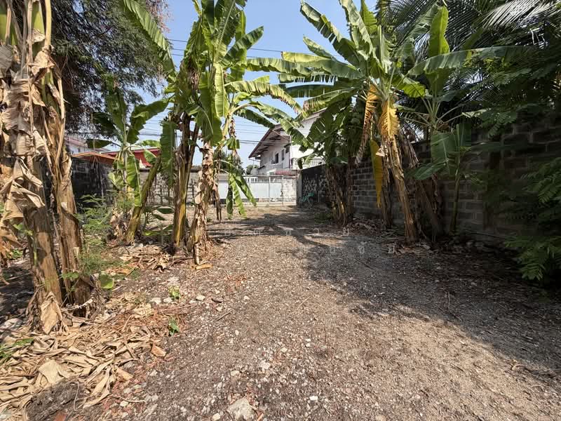 Land, Nonthaburi, ซอยกรุงเทพนนท์ 2 แยก 3, Bang Khen, Muang Nonthaburi, Nonthaburi, , 2,216 sqm, Land For Sale, by ยอดชาย สราญฤทธิชัย, 500145632 - DDproperty.com