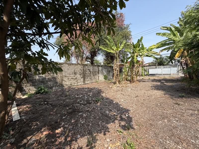 Land, Nonthaburi, ซอยกรุงเทพนนท์ 2 แยก 3, Bang Khen, Muang Nonthaburi, Nonthaburi, , 2,216 sqm, Land For Sale, by ยอดชาย สราญฤทธิชัย, 500145632 - DDproperty.com