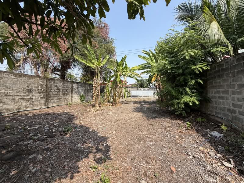 Land, Nonthaburi, ซอยกรุงเทพนนท์ 2 แยก 3, Bang Khen, Muang Nonthaburi, Nonthaburi, , 2,216 sqm, Land For Sale, by ยอดชาย สราญฤทธิชัย, 500145632 - DDproperty.com