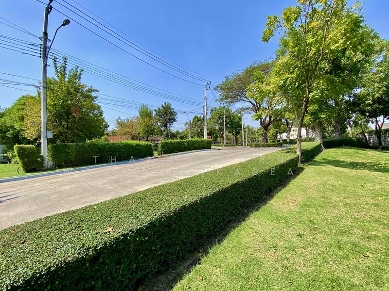 The City Pattanakarn, Bangkok, On Nut Road, Prawet, Prawet, Bangkok, 4 Bedrooms, 200 sqm, Single Detached House For Rent, by Thananthorn Wongvarnkaseam, 500145638 - DDproperty.com