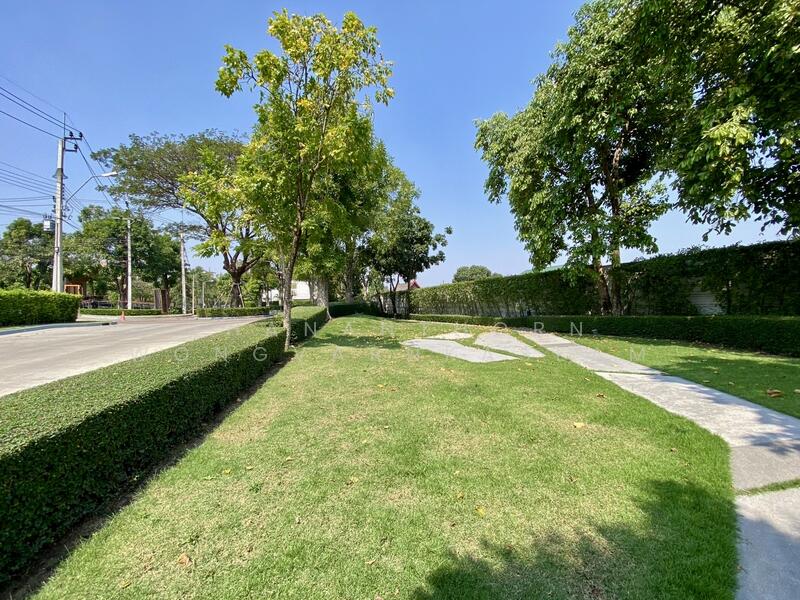 The City Pattanakarn, Bangkok, On Nut Road, Prawet, Prawet, Bangkok, 4 Bedrooms, 200 sqm, Single Detached House For Rent, by Thananthorn Wongvarnkaseam, 500145638 - DDproperty.com