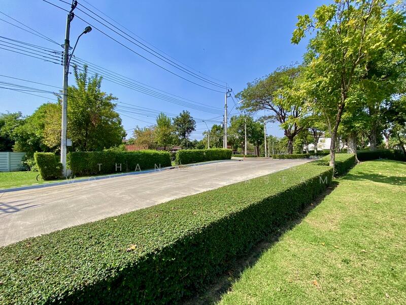 The City Pattanakarn, Bangkok, On Nut Road, Prawet, Prawet, Bangkok, 4 Bedrooms, 200 sqm, Single Detached House For Rent, by Thananthorn Wongvarnkaseam, 500145638 - DDproperty.com