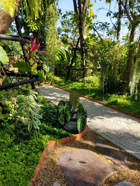 เมืองบุรีรัมย์, บุรีรัมย์, อิสาณ, เมืองบุรีรัมย์, บุรีรัมย์, 285 ตร.ม., บ้านเดี่ยว ขาย, โดย ดลหทัย เจริญรักษ์, 500145761 - DDproperty.com