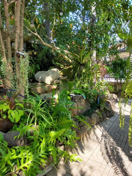 เมืองบุรีรัมย์, Buri Ram, E-san, Muang Buri Ram, Buri Ram, 4 Bedrooms, 285 sqm, Single Detached House For Sale, by ดลหทัย เจริญรักษ์, 500145761 - DDproperty.com