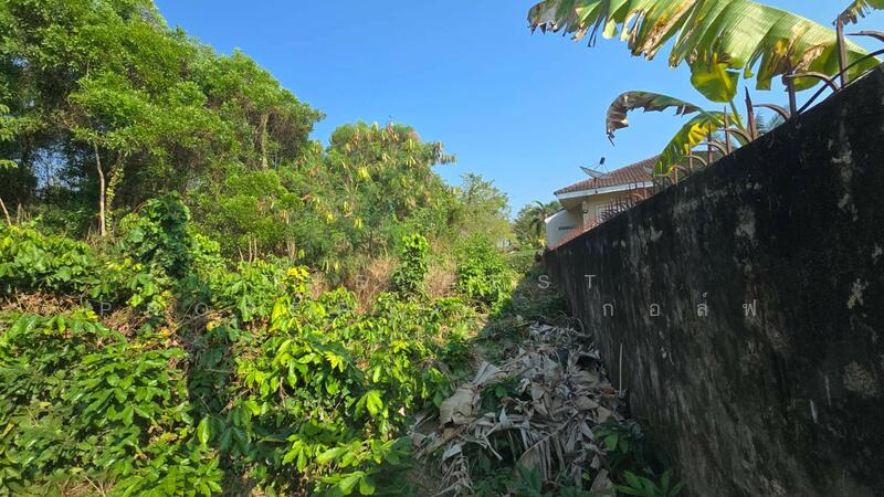 บ้านแฝดท่าใหม่ จันทบุรี, จันทบุรี, คลองขุด, ท่าใหม่, จันทบุรี, 2,564 ตร.ม., ที่ดิน ขาย, โดย The Best Property   กอล์ฟ, 500145780 - DDproperty.com