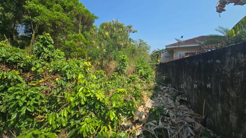 บ้านแฝดท่าใหม่ จันทบุรี, จันทบุรี, คลองขุด, ท่าใหม่, จันทบุรี, 2,564 ตร.ม., ที่ดิน ขาย, โดย The Best Property   กอล์ฟ, 500145780 - DDproperty.com